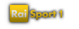 Logo_RaiSport1