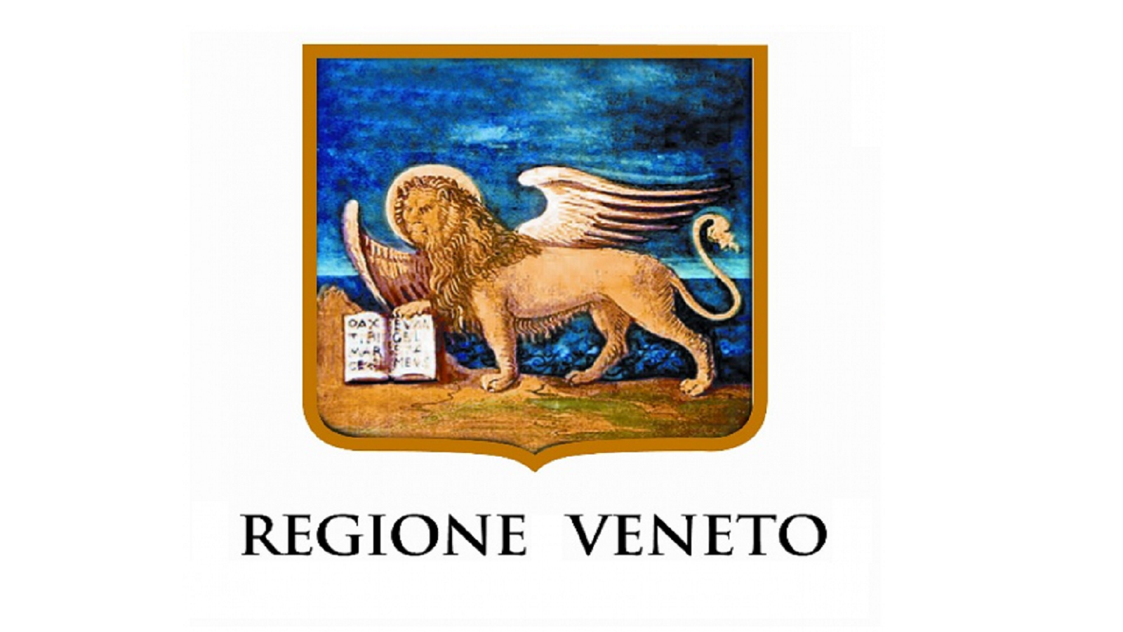 Regione Veneto 16 9