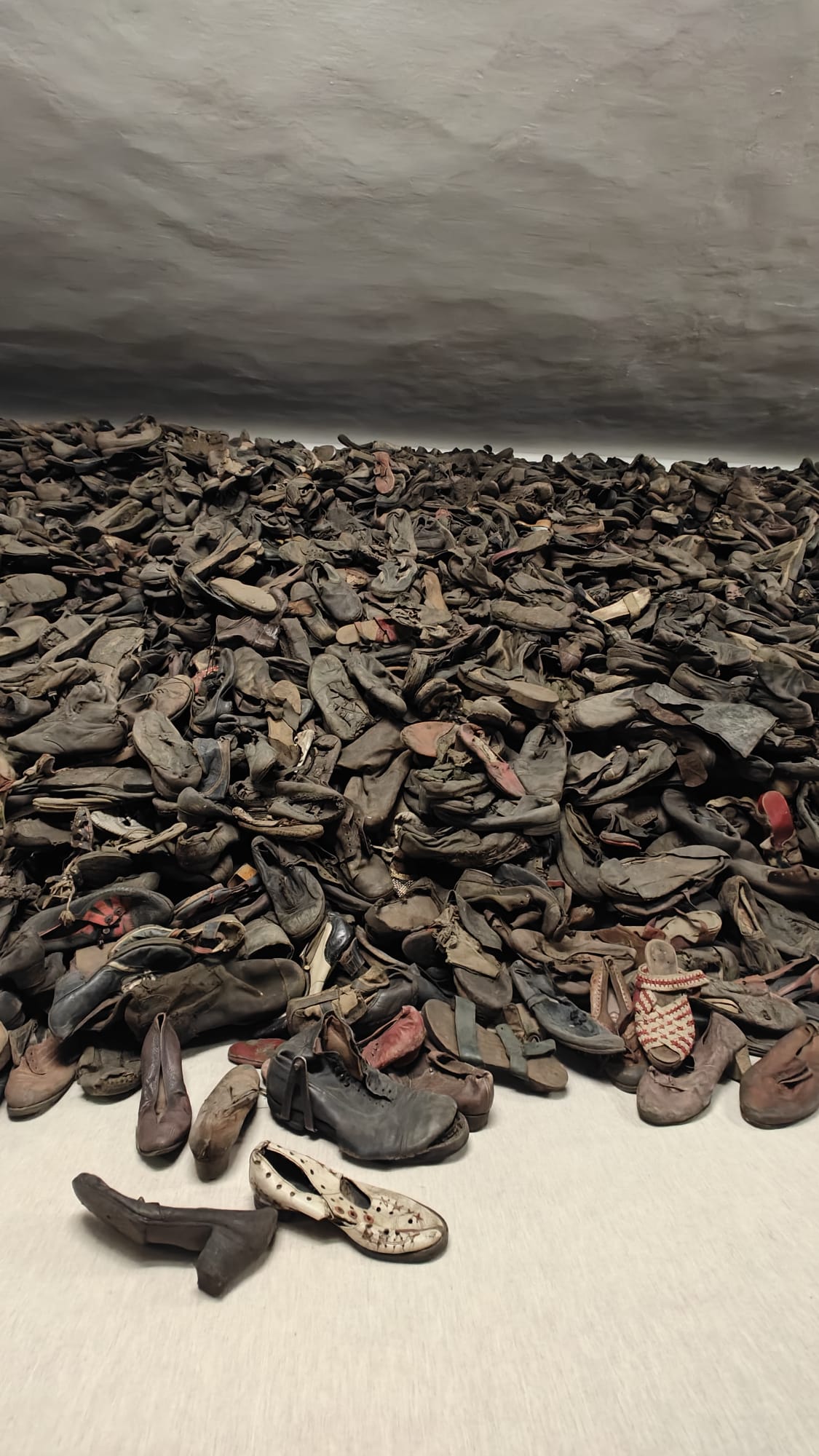 WhatsApp Image 2024 02 07 at 15.28.24