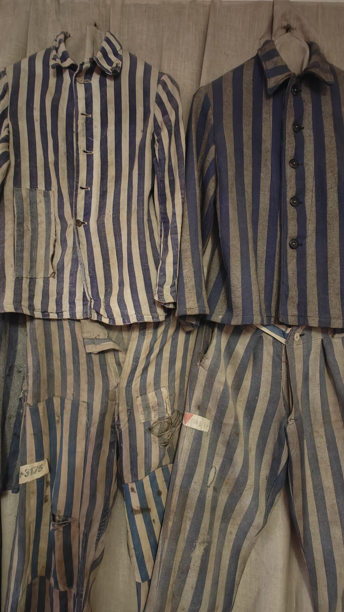 WhatsApp Image 2024 02 07 at 15.28.26