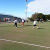 fonte nuova 19