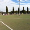 fonte nuova 22