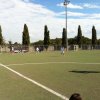 fonte nuova 23