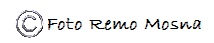 Copy_Remo_Mosna